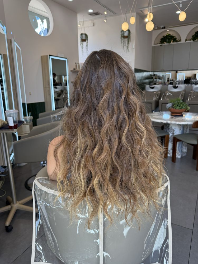 Daniel K Palmer Logo