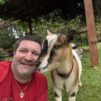808 Goat Yoga - Yoga Near Me - Kilauea, Hawaii