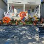 Photo of Cata Landscaping