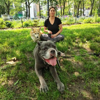 Downtown Brooklyn Pet Care - Dog Walkers Near Me - Brooklyn, New York Downtown Brooklyn Pet Care - Dog Walkers Near Me - Brooklyn, New York