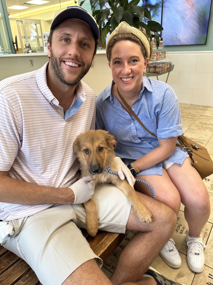 EAST LAKE VETERINARY HOSPITAL, PC Updated October 2024 58 Photos