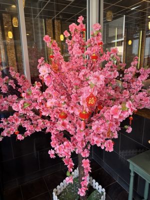 Fun Noodle Bar by null