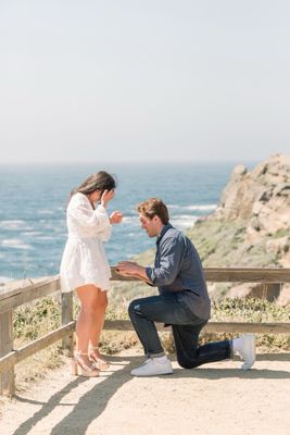 Point Lobos State Natural Reserve by null