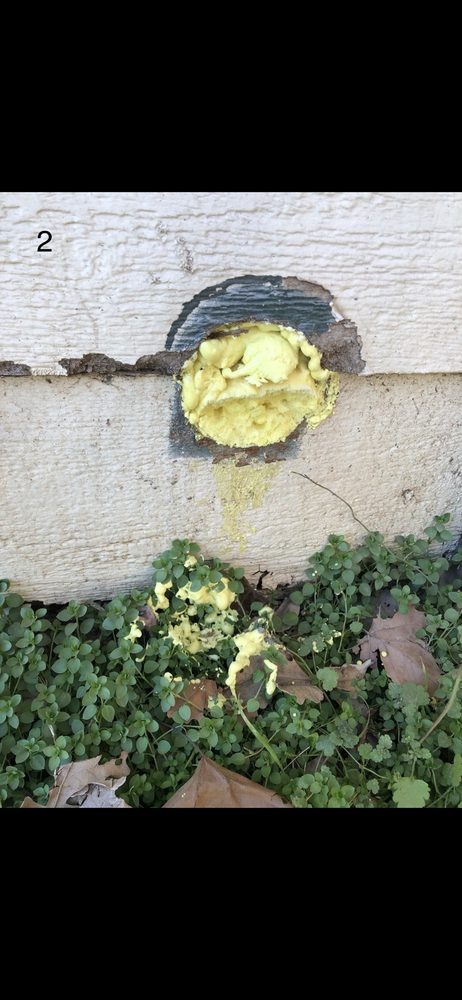 Slide of Paradise Roofing