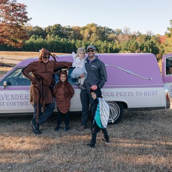 Lavender Pest Control - Pest Control Near Me - Athens, Georgia