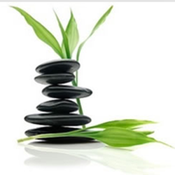 SI BodyWorks