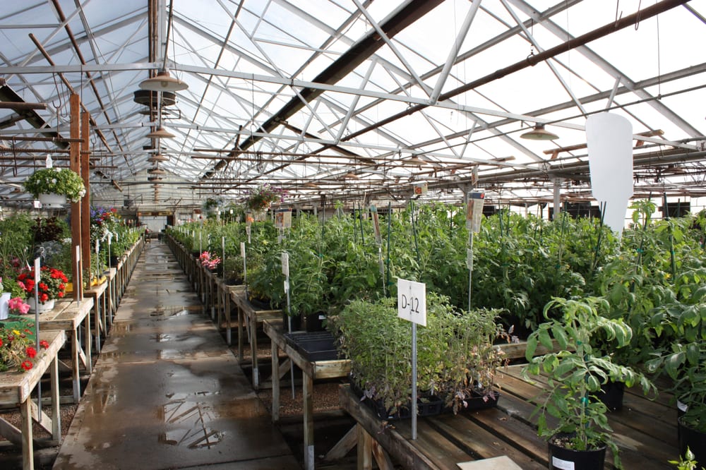 DARDANO’S FLOWERLAND CLOSED Updated July 2024 21 Photos 1205 W Evans Ave, Denver