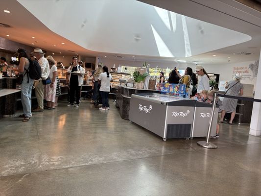 Auckland Zoo by null