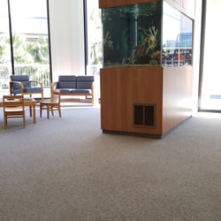 Taylor M David, DDS - Aquarium in the waiting area