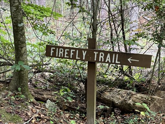 Congaree National Park by null Congaree National Park by null
