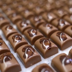 Commodore Chocolatier