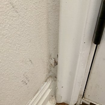 PMI Made Simple - More bugs, cobwebs - Property Management Near Me - Orem, Utah
