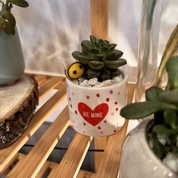 Mini Monster Cafe - Great place for little plant gifts - Ice Cream & Frozen Yogurt Near Me - Long Beach, California Mini Monster Cafe - Great place for little plant gifts - Ice Cream & Frozen Yogurt Near Me - Long Beach, California