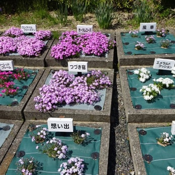 花のじゅうたん 12 Photos Botanical Gardens 永沢寺170 三田市 兵庫県 Japan Phone Number Yelp