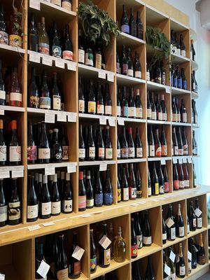 Wine Therapy by null