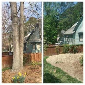 Johnson Tree Experts - Tree Removal and Stump Grinding before and after photo. - Landscaping Near Me - Bahama, North Carolina