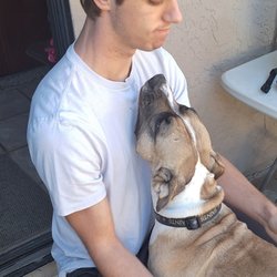 Doggie Bonez Rescue - Lola meeting or 21 yr old son.