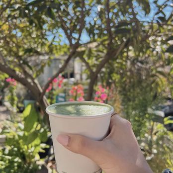 Highwire Coffee Roasters - matcha latte - Coffee Roasteries Near Me - Albany, California Highwire Coffee Roasters - matcha latte - Coffee Roasteries Near Me - Albany, California