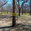 Breckenridge Park gift card