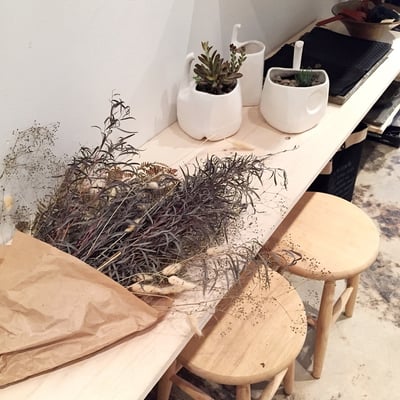 Flowerboy Project by null