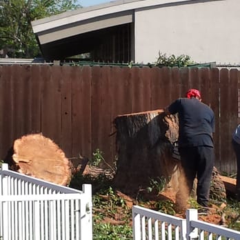 Torres Tree Service - Tree Services Near Me Torres Tree Service - Tree Services Near Me