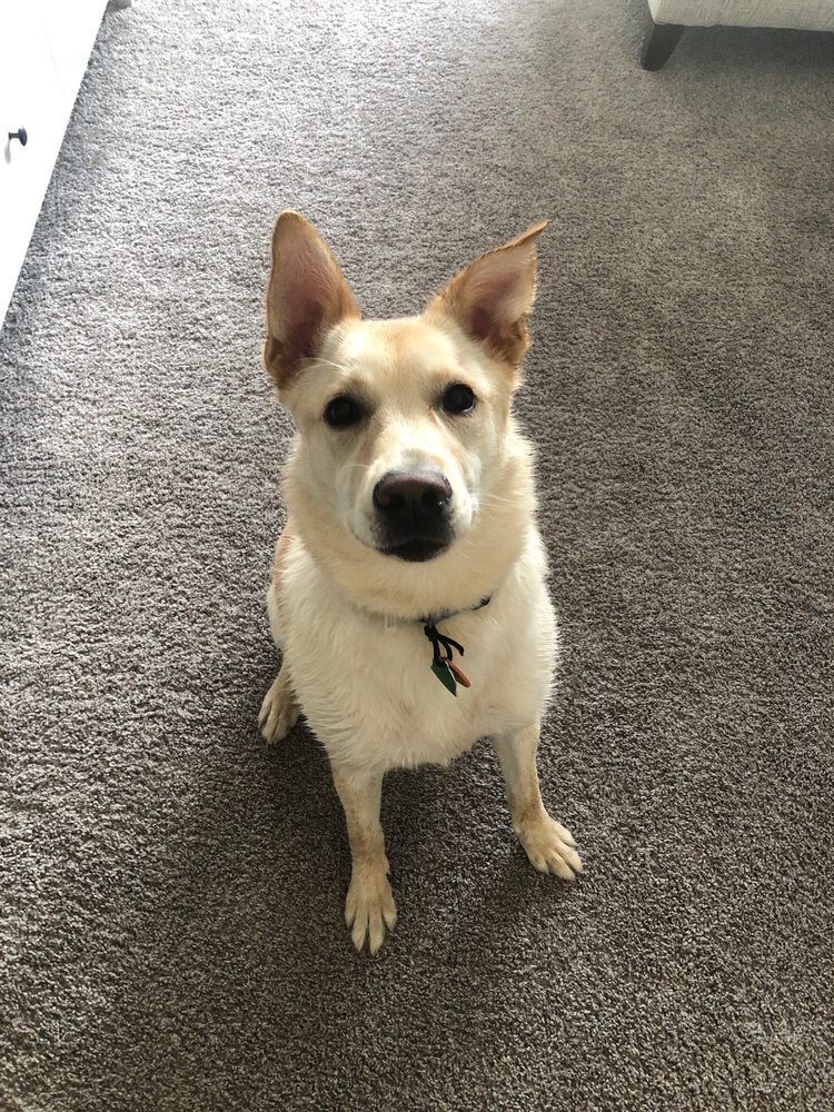 CHUCK & DON’S PET FOOD & SUPPLIES 7370 153rd St W, Apple Valley