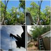 Cowboy Land Clearing and Cedar Removal gift card