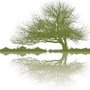 Photo of Solace Counseling Service