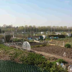 Jardins ouvriers - Jardins ouvriers derrière l'Usine Roubaix