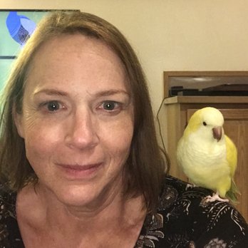 My Kritter Sitter - My best yellow friend! - Pet Sitting Near Me