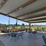 Amista Vineyards