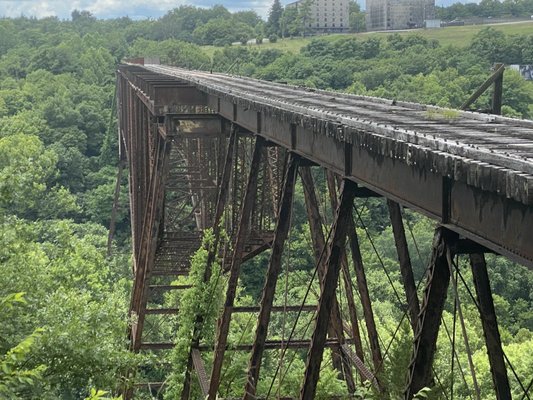 Bluegrass Scenic Railroad and Museum by null