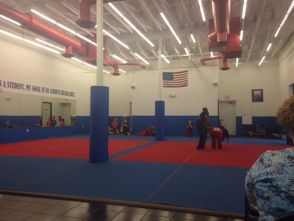 DEPALMA’S TEAM USA MARTIAL ARTS CLOSED 147 S Higley Rd, Gilbert