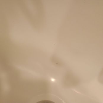 USA Bathtub Refinishing  - ust and peeling in under 2 months. Damaged plumbing and paint everywhere. No resolution after complaints. Avoid this company - Refinishing Services Near Me - Miami, Florida