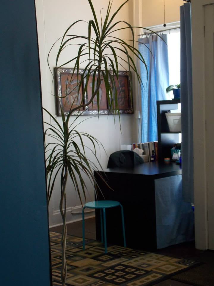 ACUPUNCTURE & WELLNESS OF MERION VILLAGE Updated August 2024 10