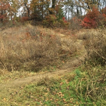 Turkey Mountain Wilderness Area - Looks like a fun rock climbing trail - Hiking Near Me - Tulsa, Oklahoma Turkey Mountain Wilderness Area - Looks like a fun rock climbing trail - Hiking Near Me - Tulsa, Oklahoma