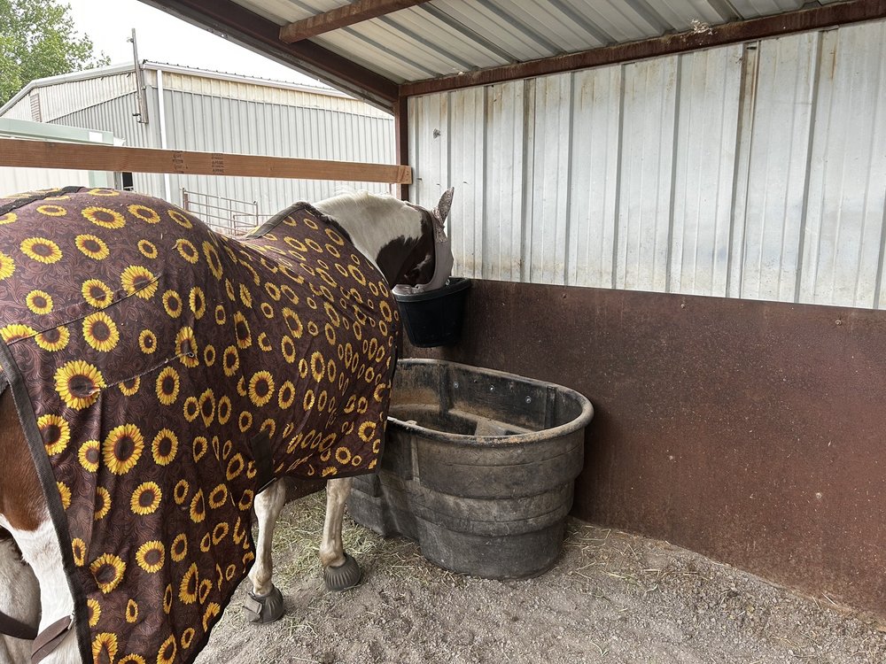 Bibber Creek Stables - equestrian in Golden, CO