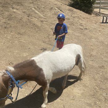 Bell Canyon Equestrian Center - Horseback Riding Near Me - Bell Canyon, California