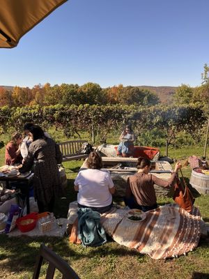 Fjord Vineyards by null