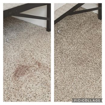 Time To Shine Sanitizing - Carpet Cleaning Near Me Time To Shine Sanitizing - Carpet Cleaning Near Me