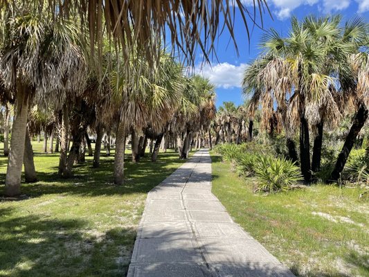 Caladesi Island State Park by null