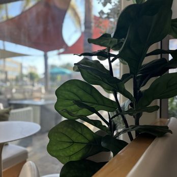 Floe - Matcha & Bingsoo Cafe - Shaved Ice Near Me - Fullerton, California