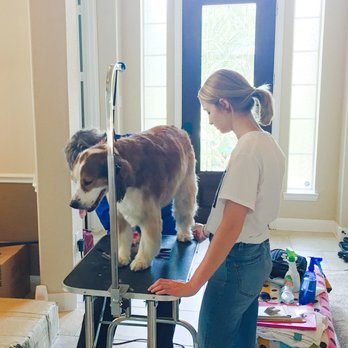 A Peaceful Pet - grooming session at home - Pet Groomers Near Me A Peaceful Pet - grooming session at home - Pet Groomers Near Me