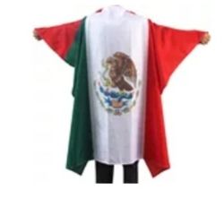 Chicano Spot - Mexican flag