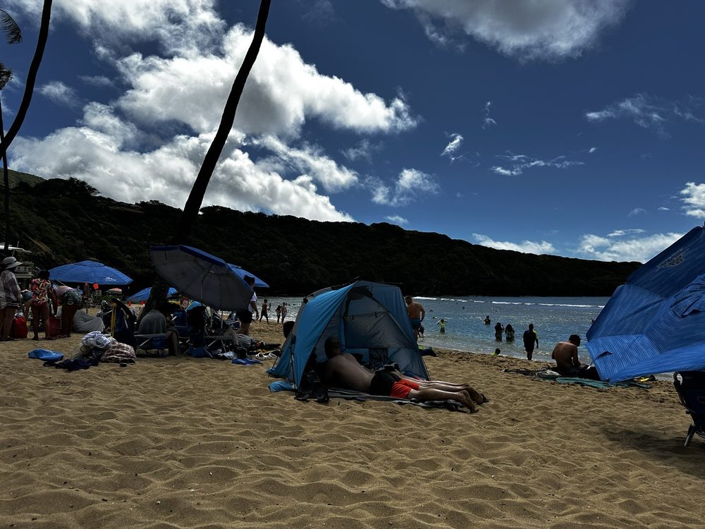 HANAUMA BAY SNORKEL ADVENTURES Updated September 2024 151 Photos