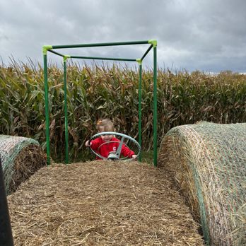 The Pumpkin Stand - Pumpkin Patches Near Me - Ovid, New York