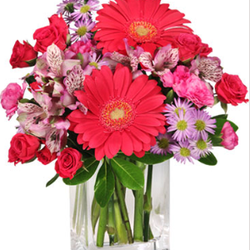 Select Blooms Floral Boutique