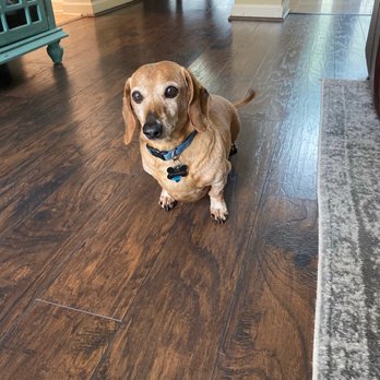 Pinch A Penny Pool Patio Spa - This is Gus he's vicious. - Hot Tub & Pool Near Me - Spring, Texas