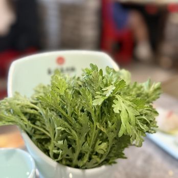 Chengdu Memory - Hot Pot Near Me - Fremont, California Chengdu Memory - Hot Pot Near Me - Fremont, California