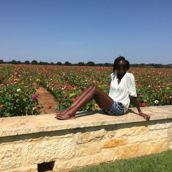 Becker Vineyards - Flower farm - Wine Tasting Room Near Me - Fredericksburg, Texas